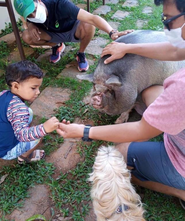 Aldeia Parque Pousada Rural São Roque Екстериор снимка