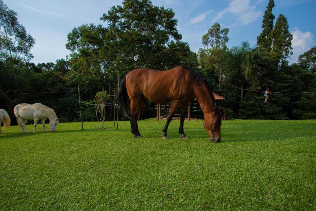 Aldeia Parque Pousada Rural São Roque Екстериор снимка