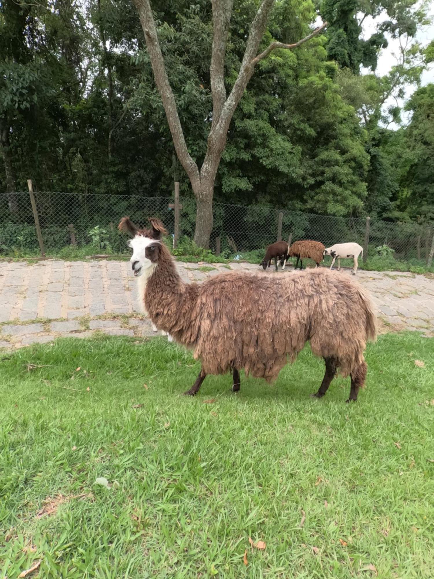 Aldeia Parque Pousada Rural São Roque Екстериор снимка