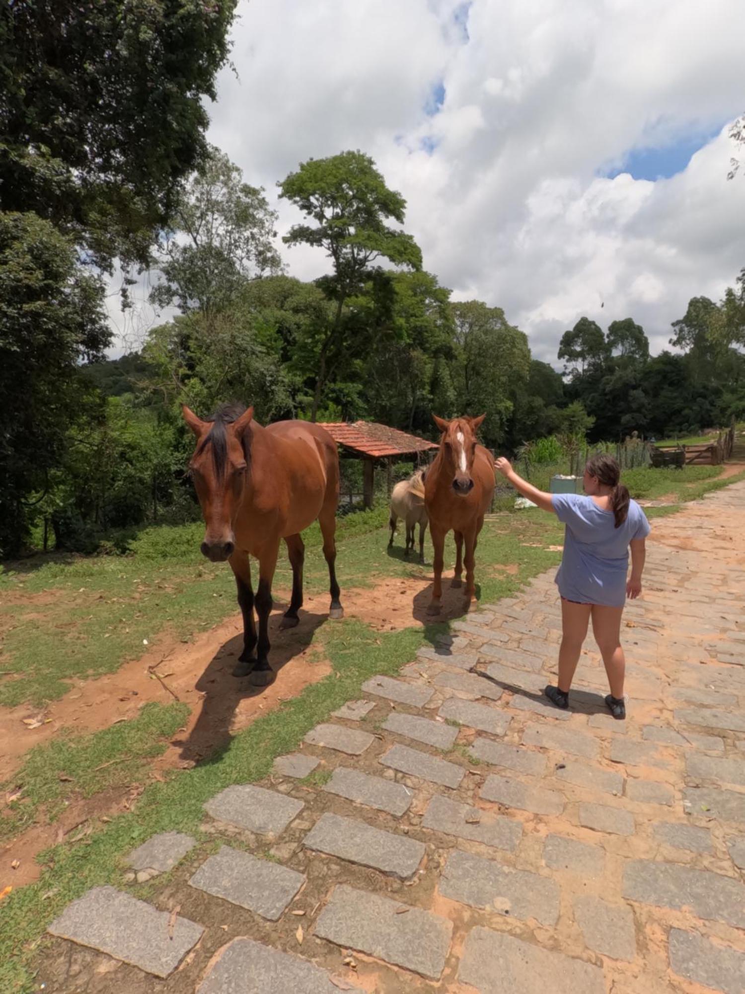 Aldeia Parque Pousada Rural São Roque Екстериор снимка