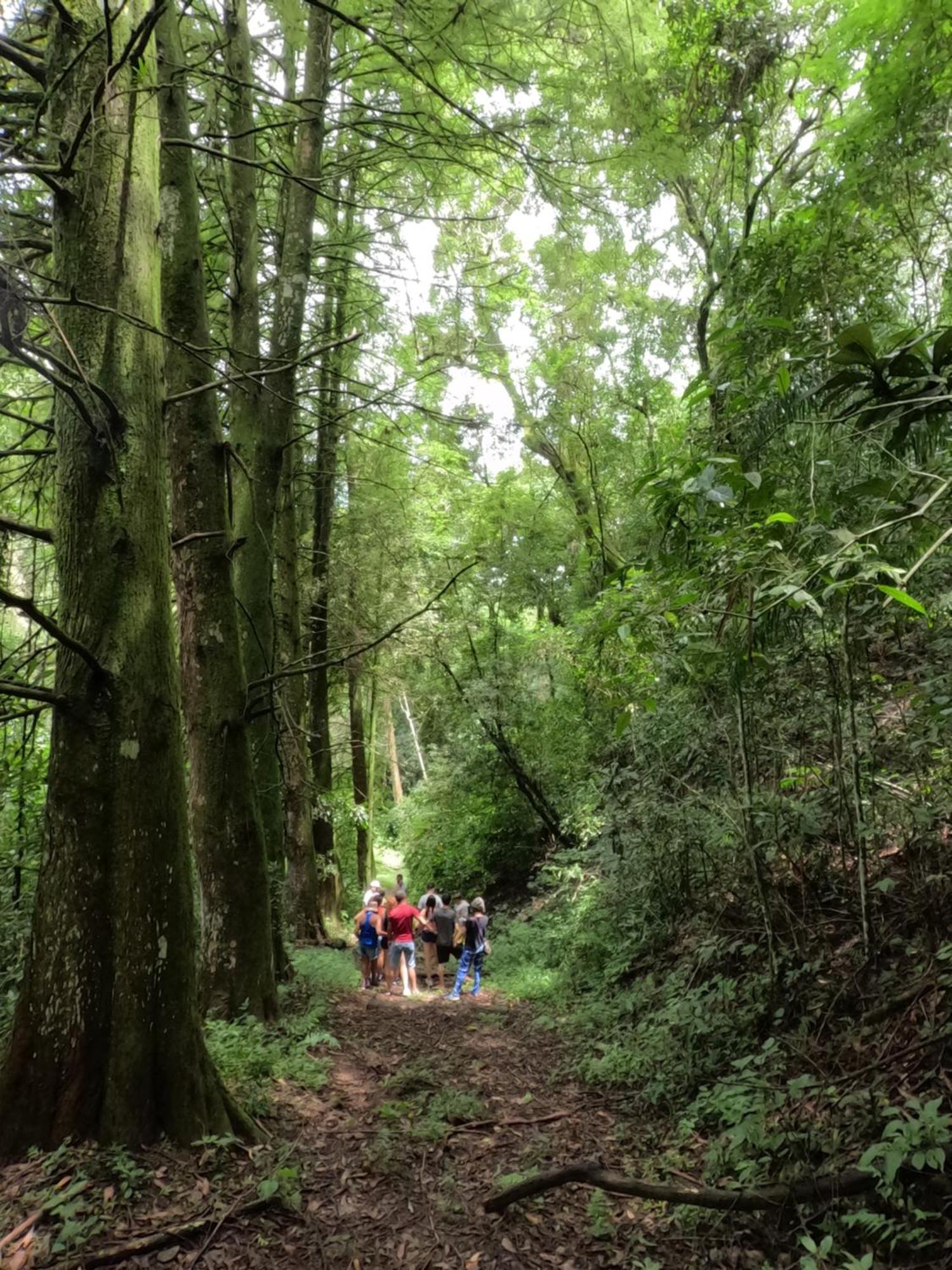 Aldeia Parque Pousada Rural São Roque Екстериор снимка
